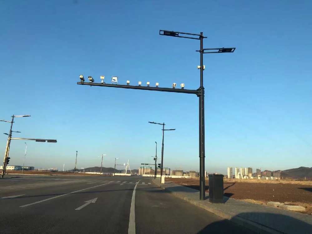 横州市黑龙江佳木斯综合路灯杆项目