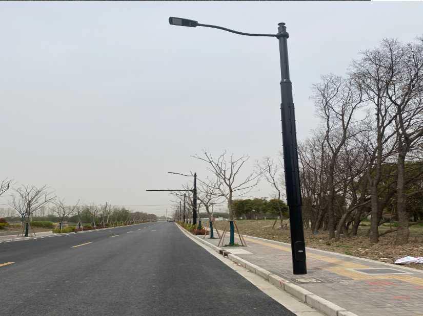 横州市上海综合杆 太阳能路灯工程